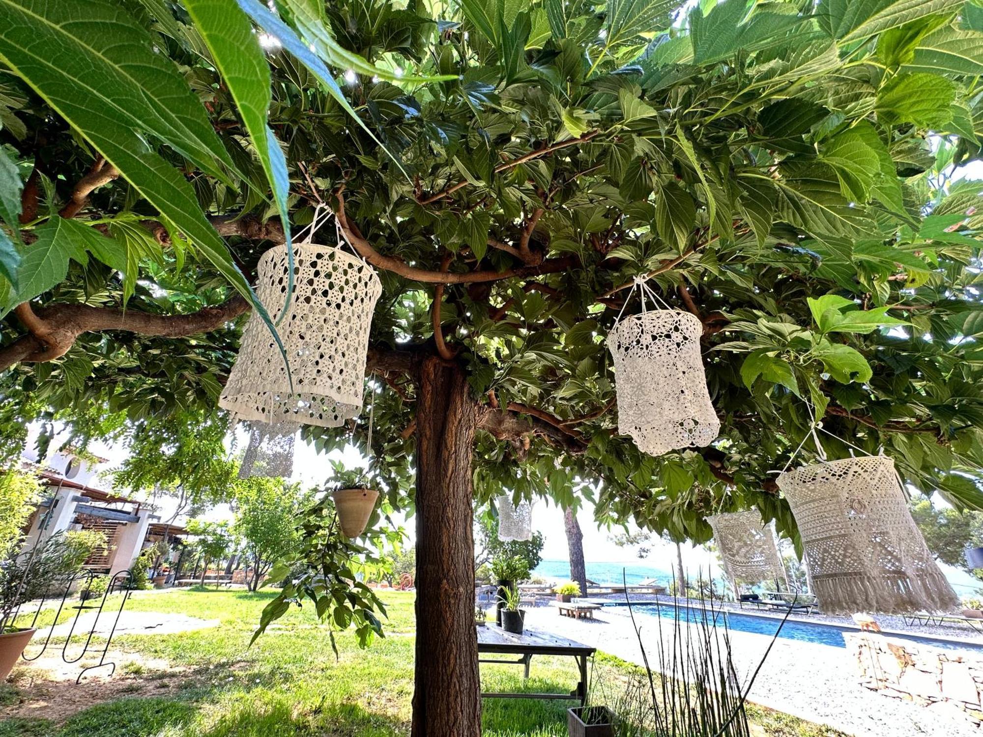 Simple Home La Cadiere-d'Azur Ngoại thất bức ảnh